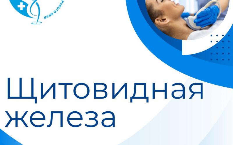 Инфографика